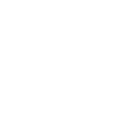 ハチの巣駆除には危険も・・・