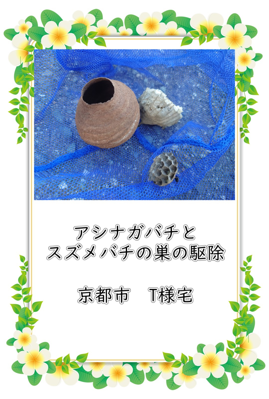 富山県氷見市 スズメバチ駆除