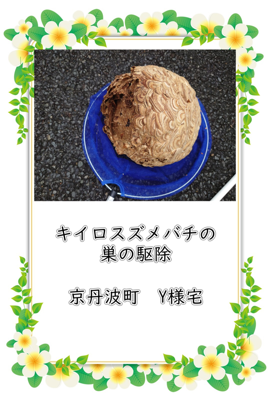 富山県富山市 スズメバチ駆除