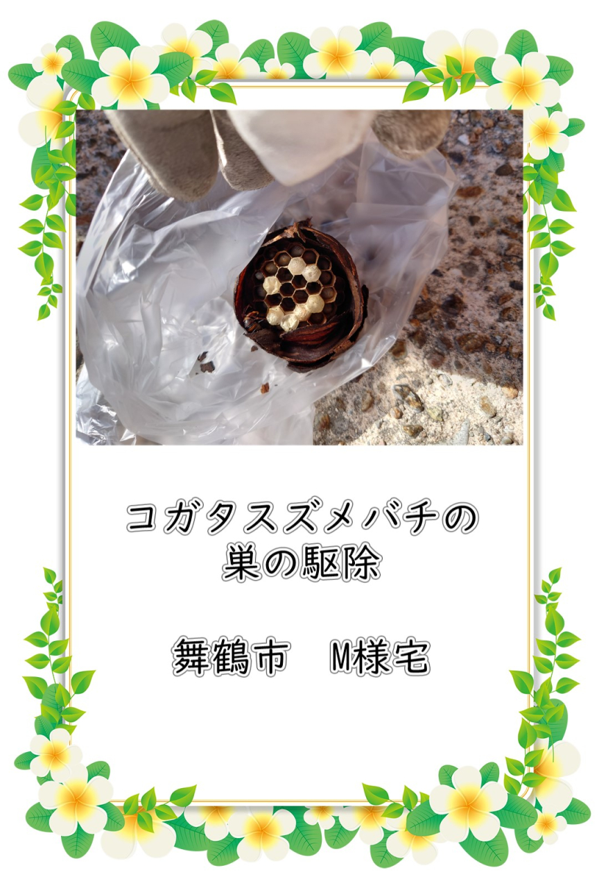 石川県能美市 蜂の巣駆除&草刈り